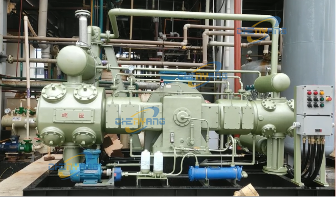 安徽德隆泰氯化氫D型壓縮機(jī)正面